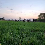 Prázdninový dům - La Capra Amaltea