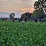 - La Capra Amaltea Prázdninový dům *