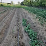 Prázdninový dům - La Capra Amaltea Cortona