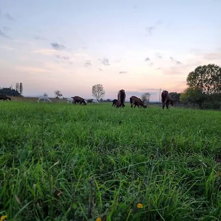 Prázdninový dům - La Capra Amaltea