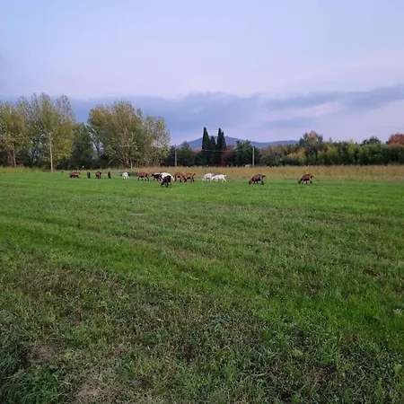 Prázdninový dům - La Capra Amaltea *