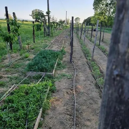 Casa vacanze - La Capra Amaltea Cortona
